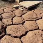 Terrains argileux en Île-de-France : comment anticiper les tassements ?